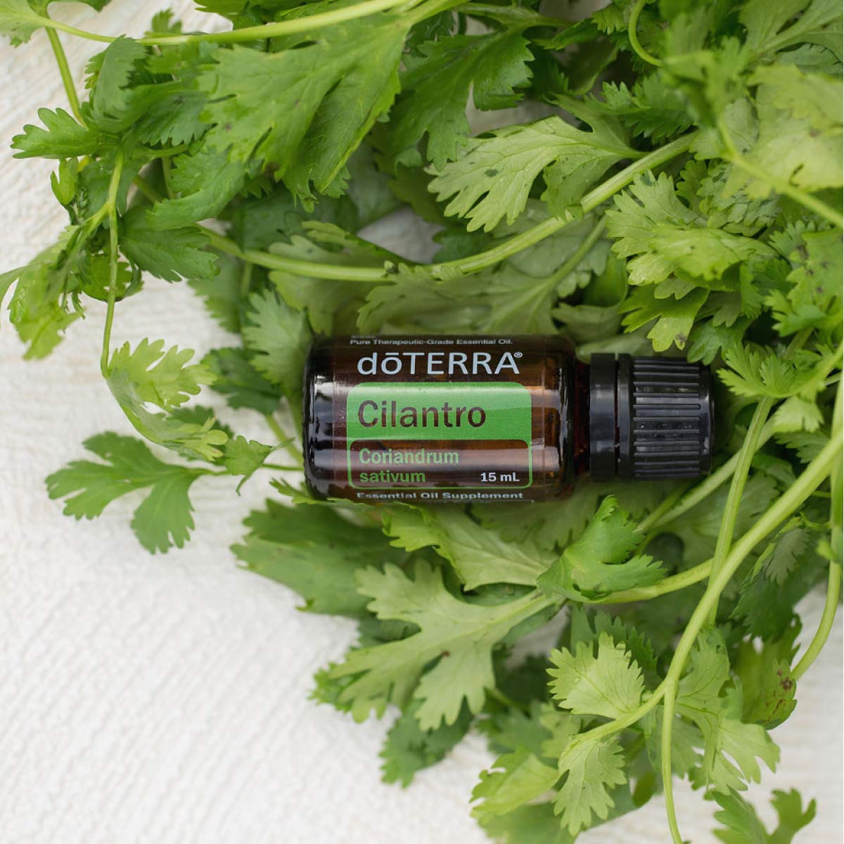 Cilantro Óleo Essencial Coriandrum sativum (Coentro) - Imagem 3