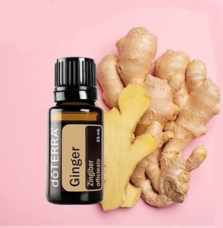 Ginger Óleo Essencial Zingiber officinale (Gengibre) - Imagem 2